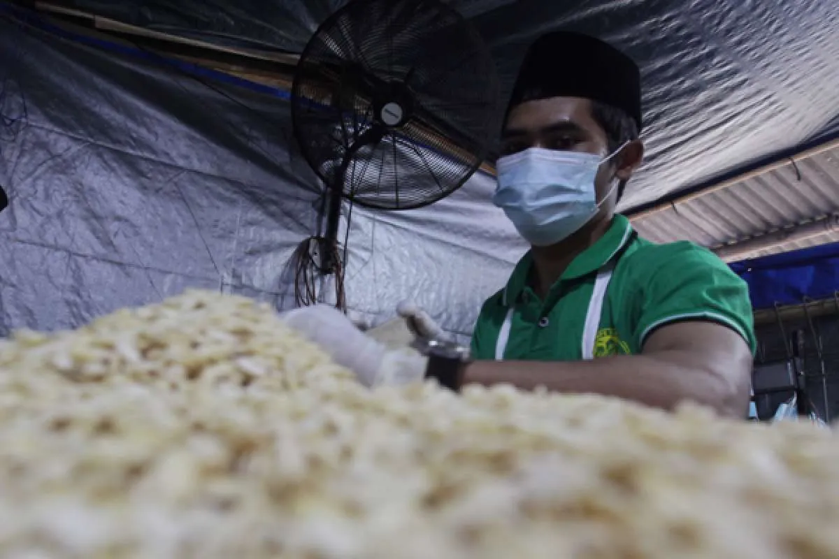 Ekosistem halal value chain berbasis pesantren terus didorong pemerintah