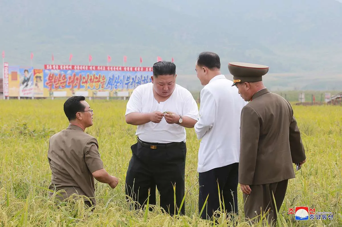 Korea Utara memburu perusak gambar Kim Jong Un, tim investigasi pun dibentuk