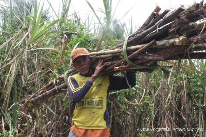 Indonesia Targets Sugar Self-Sufficiency in 5 Years, Eyes Ethanol Production