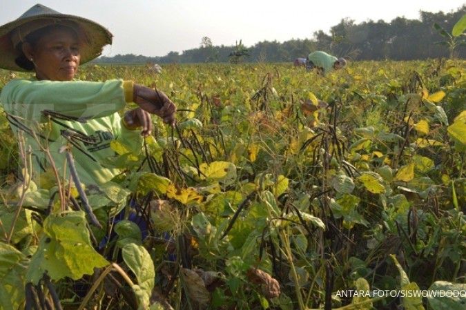 Benefits of green beans