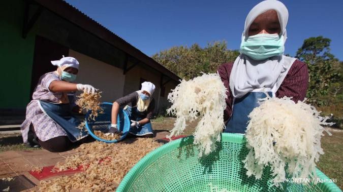 Kadin Indonesia luncurkan fasilitas Palapa Fund