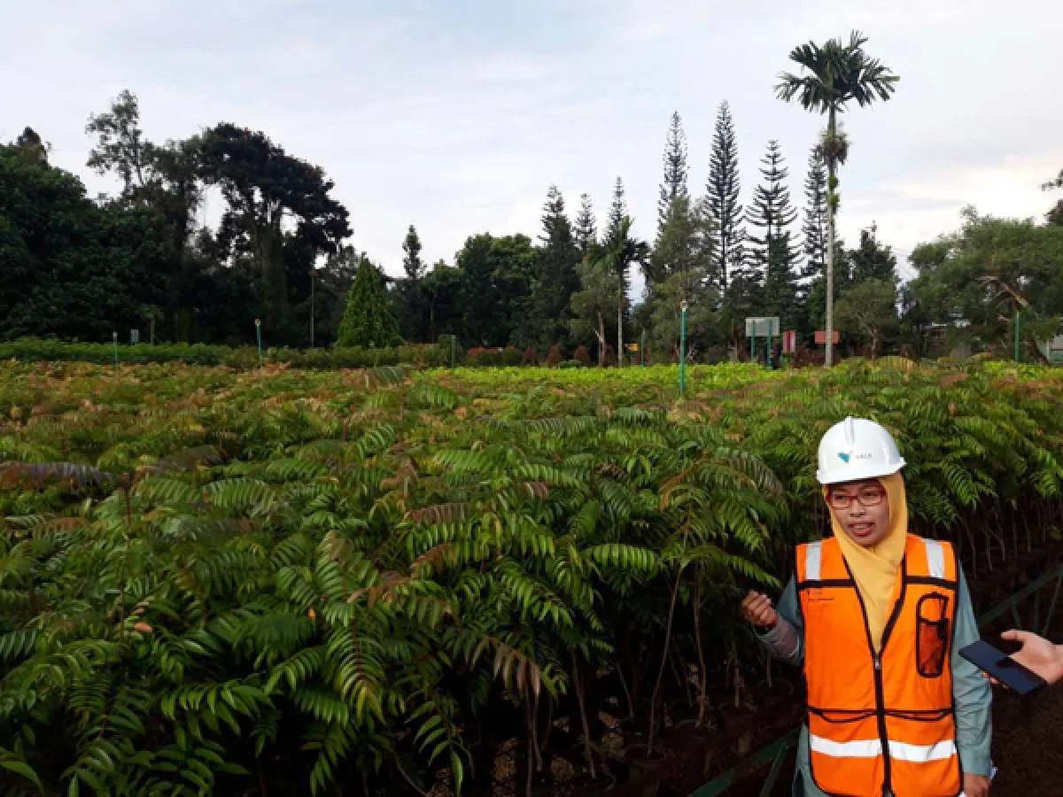 Vale Indonesia (INCO) tambah fasilitas pengolahan limbah