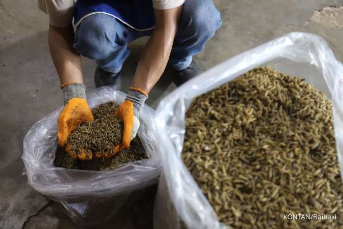 Dari Sampah ke Peternakan Puyuh, Cara Kabupaten Ciamis Membangun Ekonomi Sirkular