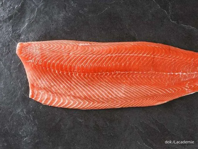 Salmon segar