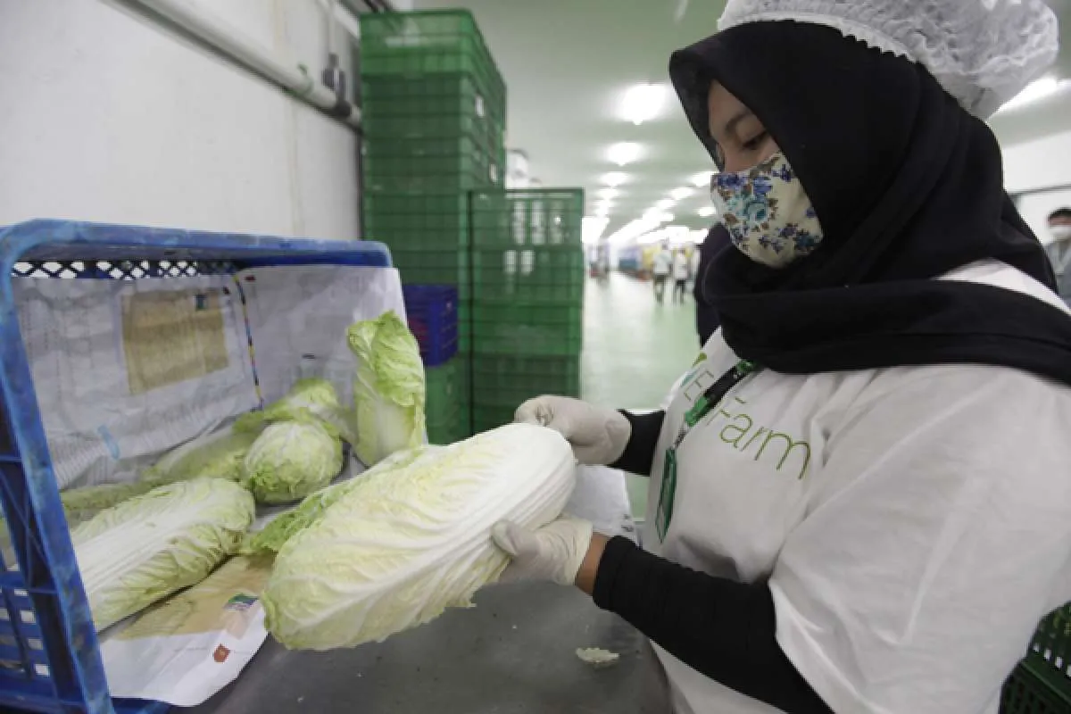 Dukung gerakan zero waste, Eden Farm gaet Magalarva untuk mengolah limbah organik
