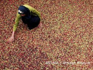 Meski harga global tinggi, petani kopi tetap gigit jari