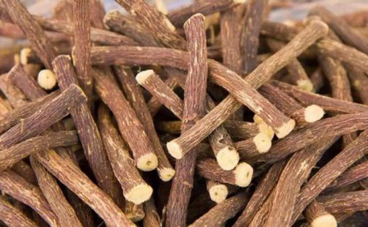 Asam Lambung Tinggi Bisa Kembali Jinak dengan 8 Tanaman Herbal Ini 