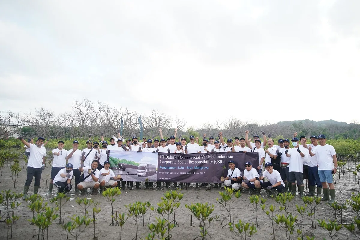 Daimler Commercial Vehicles Indonesia Tanam Ribuan Bibit Mangrove di Bali