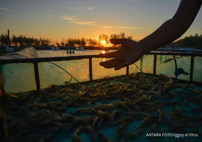 BPS Catat 152,32 Ton Udang yang Diekspor Ke AS Dikembalikan Pada September 2025