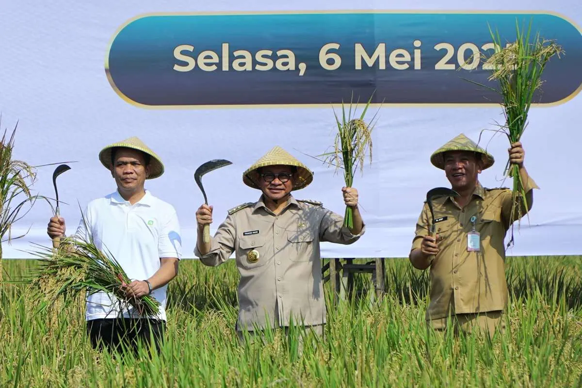 Perkuat Ketahanan Pangan, Pemprov DKI Jakarta Jalin Kerja Sama dengan Pemkab Karawang