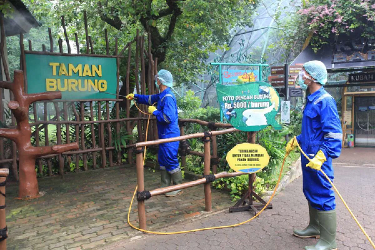 Ada promo beli 1 gratis 1 tiket pintu masuk dan wahana TMII, berlaku sampai 30 Juni