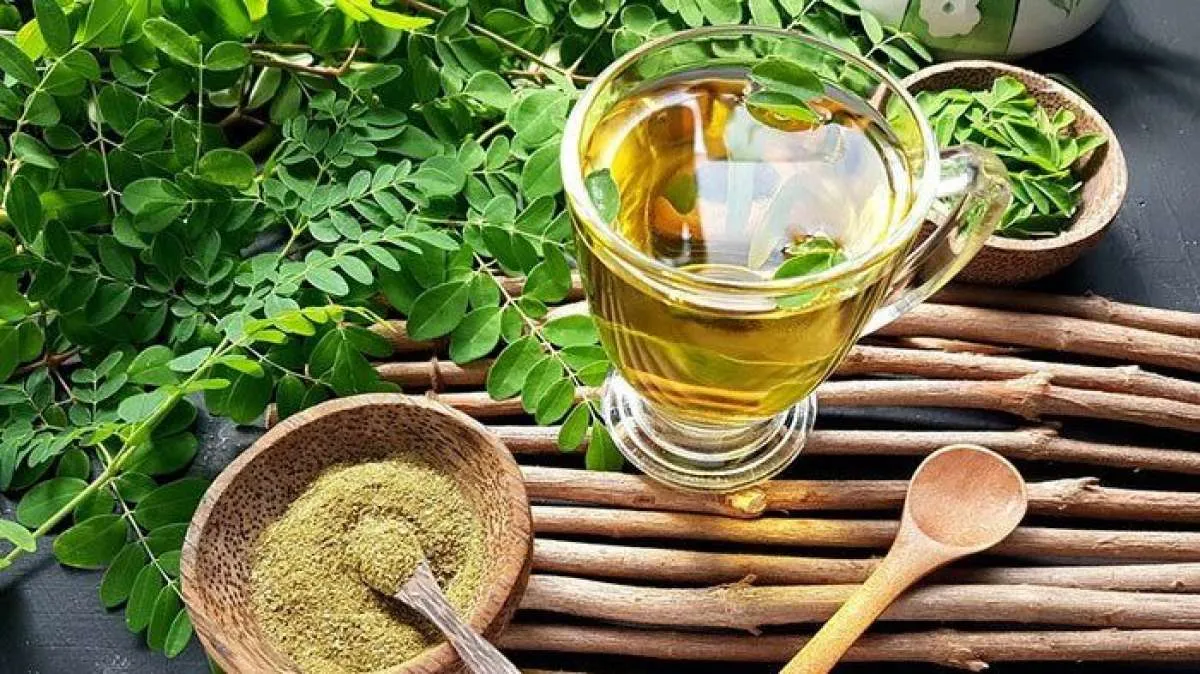 Efektif menurunkan gula darah, begini cara konsumsi kelor untuk penderita diabetes