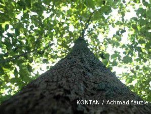 Pohon tumbang di Jalan Trunojoyo akibat hujan deras dan angin kencang