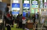 Bisnis Properti Terusik Nilai Kurs dan Suku Bunga