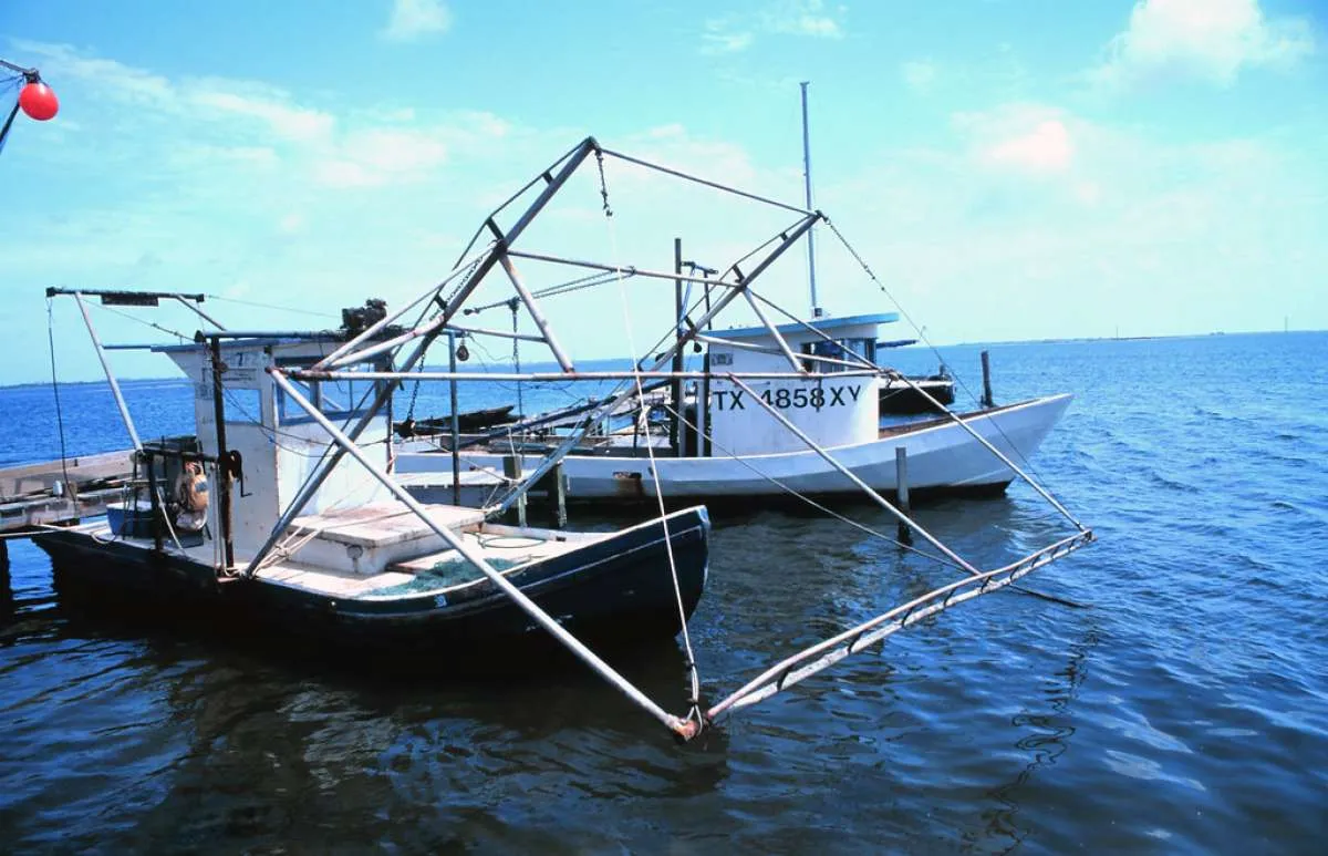Peneliti: Kapten kapal kunci produktifitas kapal penangkap ikan