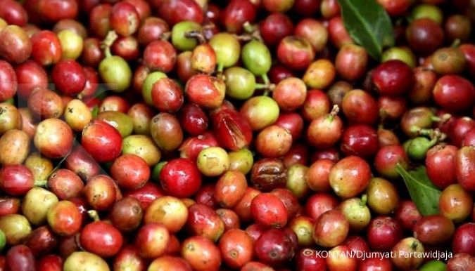 Mengenal kopi dari Banjarnegara
