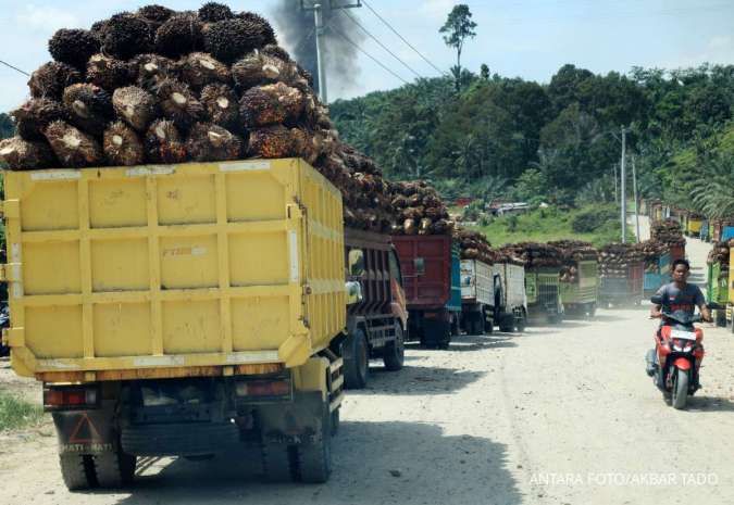 Gapki: B50 Bisa Angkat Harga TBS Petani, Asal Pungutan Ekspor Tak Naik