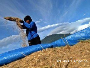 Panen sukses, pertumbuhan kuartal I bisa capai lebih 6%