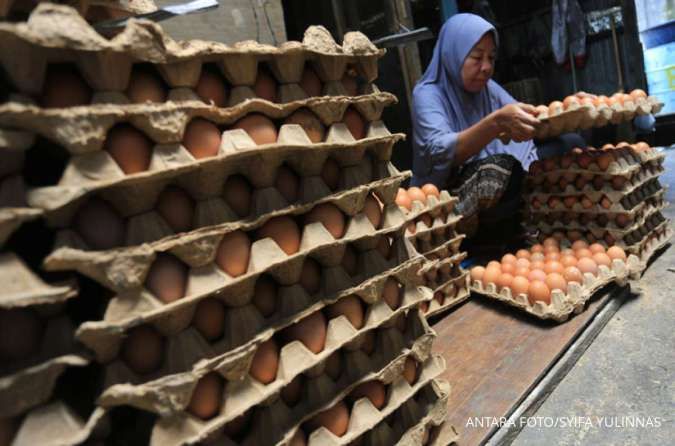 Waspada, Kenaikan Harga Telur Bisa Berdampak Pada Inflasi Mei 2023