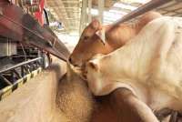 WMPP Membukukan Keuntungan Pada Paruh Pertama 2022