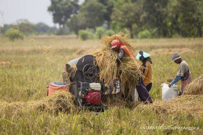 Ini Cara Daftar Program Petani Milenial yang Janjikan Penghasilan hingga Rp 10 juta