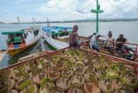 Arah Kebijakan Elpiji Bersubsidi