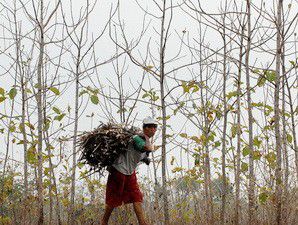 Pemerintah Bagi-bagi Lahan Setengah Juta Hektare