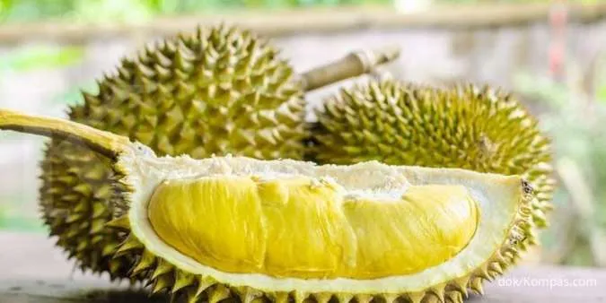 Durian, Memiliki Senyawa untuk Melawan Infeksi Bakteri