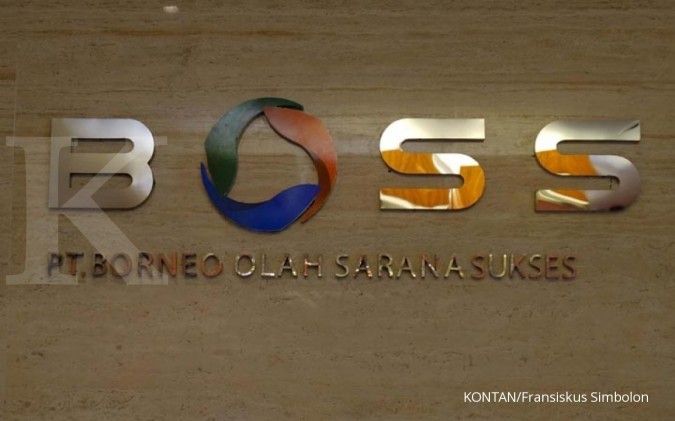 Usai IPO, Borneo Olah Sarana akan genjot produksi batubara