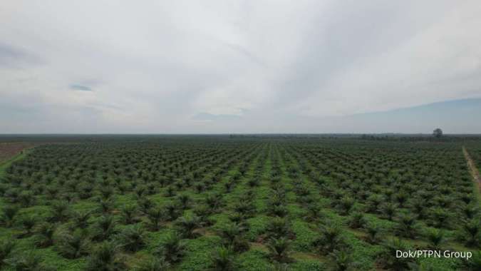 Catat Kinerja Positif pada Kuartal I-2025, Laba Bersih PTPN Group Meroket Tajam 