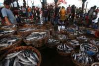 Gagas Lembaga Pemeriksa Halal Produk Kelautan Perikanan Pertama di Indonesia