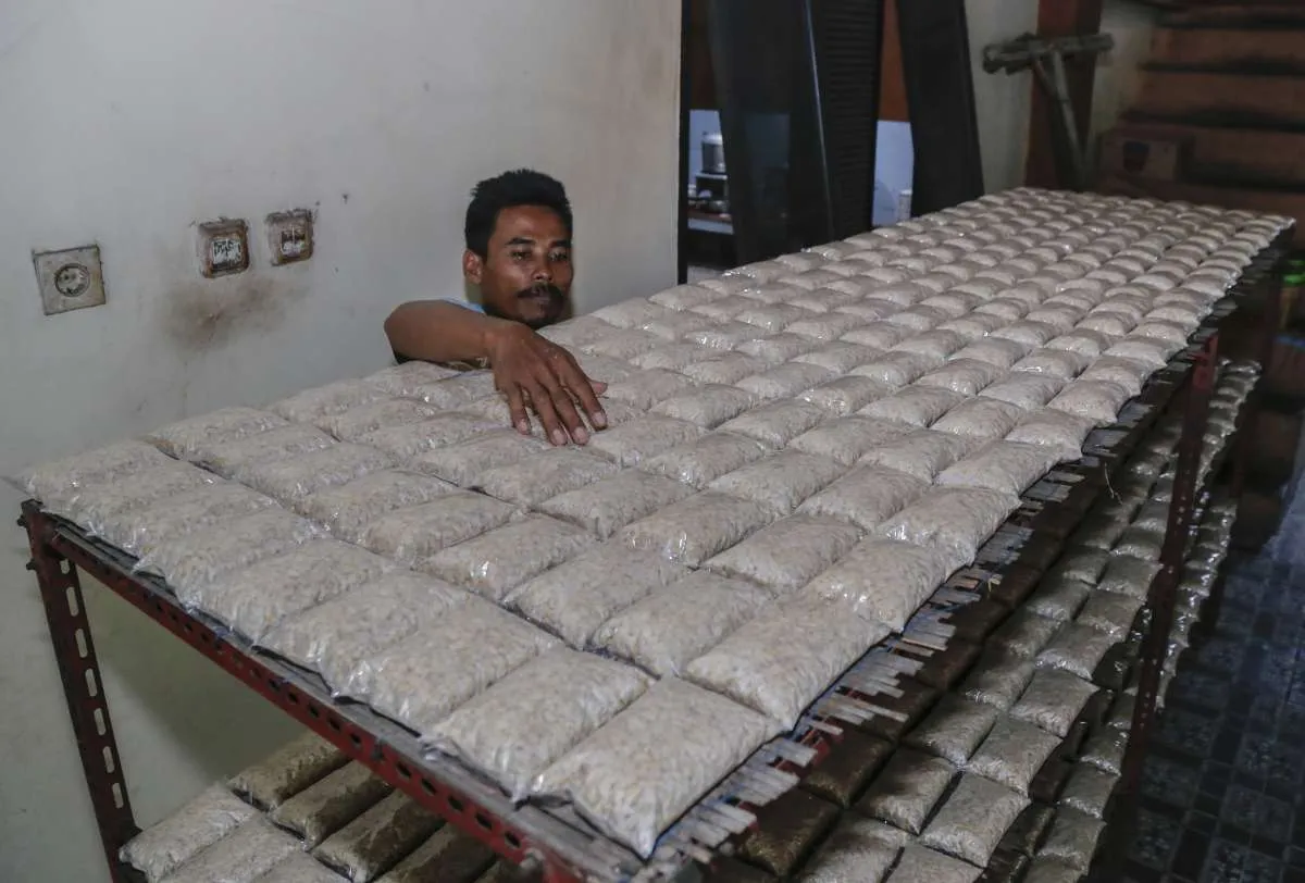 Pasokan Kedelai, Kunci Menjaga Produksi Tahu dan Tempe