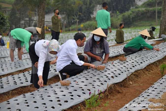 Jokowi ingin produktivitas dan pendapatan petani meningkat