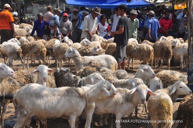 Harga kambing di Madiun sudah naik Rp 300.000