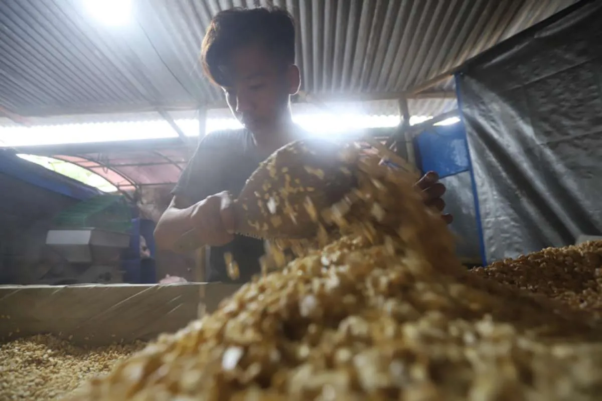 Stok Kedelai Semakin Tipis, Harga Tahu dan Tempe Bisa Meroket 