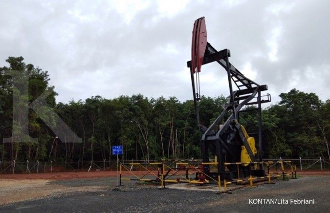Pertamina aims to drill 300 wells this year
