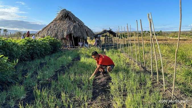 Realisasi Penyaluran Dana Desa Capai Rp 54,42 Triliun hingga 23 Agustus 2024