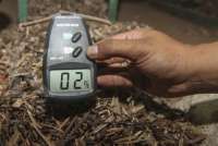 Ini Harapan Pelaku Industri Hutan Terkait Program Co-Firing Biomassa