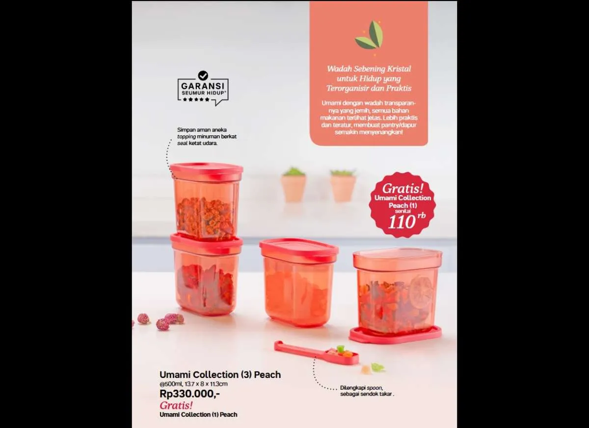 Khusus Tempat Camilan, Katalog Promo Tupperware Juni 2023 Beri Diskon & Produk Gratis