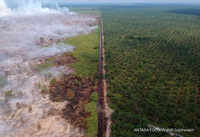Sepanjang Januari-Juli 2019, jumlah lahan yang terbakar capai 135.747 hektar