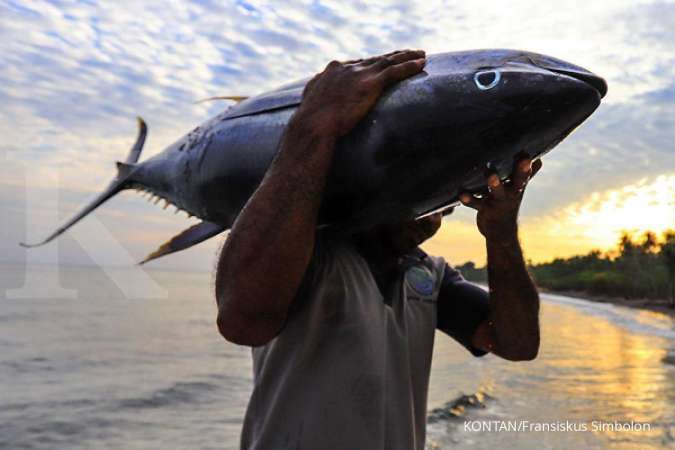 Tambah nilai jual, KPP kaji budidaya ikan tuna di Teluk Tomoni
