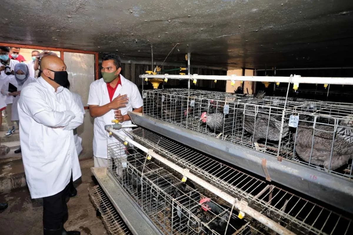 Kemenkop UKM ungkap pendaftar Banpres Produktif membludak hingga 28 juta pelaku usaha