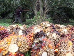 Proyeksi stok kedelai AS turun, harga CPO melejit 1,6%