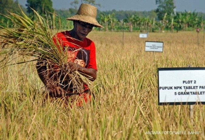Antisipasi El Nino, Jokowi siapkan Rp 5,5 triliun