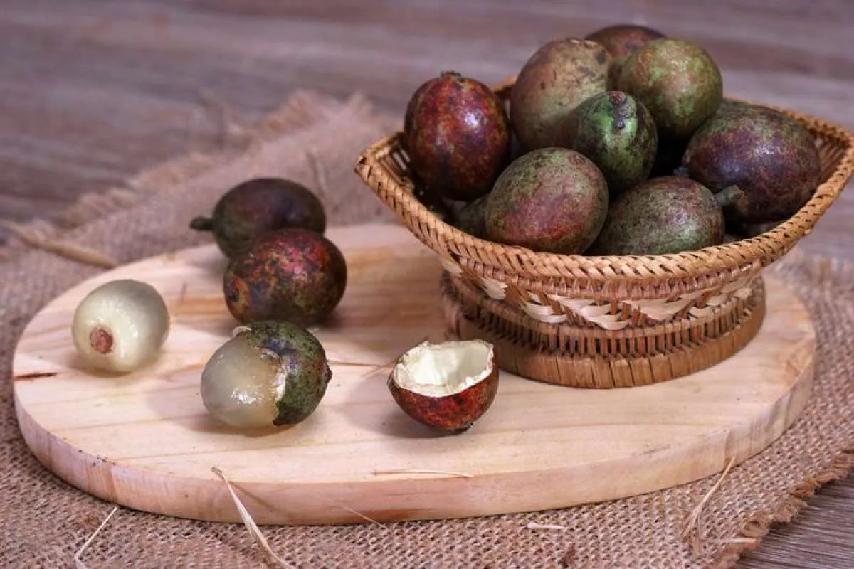 Apa Saja Khasiat Buah Matoa untuk Tubuh? Cek Informasinya di Sini