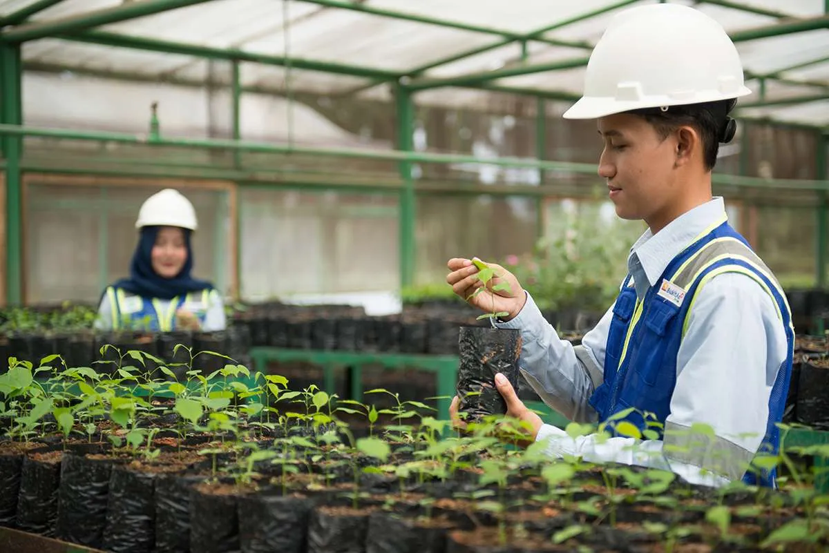 Bukit Asam (PTBA) Buat Lahan Bekas Tambang Jadi Kebun Buah