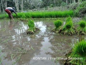 Mentan minta Pemda lindungi lahan pertanian