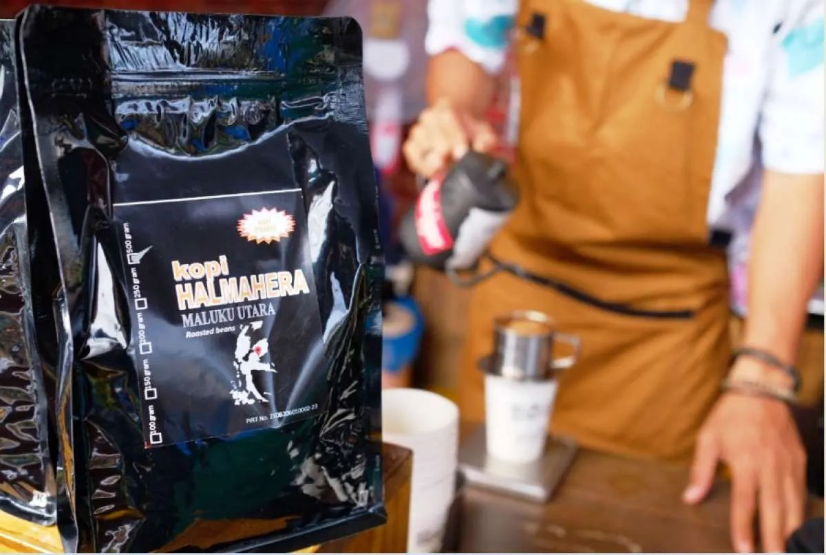 Kopi Halmahera, Antam (ANTM) targetkan penambahan 120 ribu pohon kopi di Maluku Utara