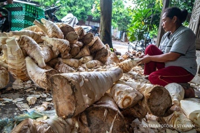 Manfaat Rebung, Bisa untuk Diet Sampai Menurunkan Risiko Kanker