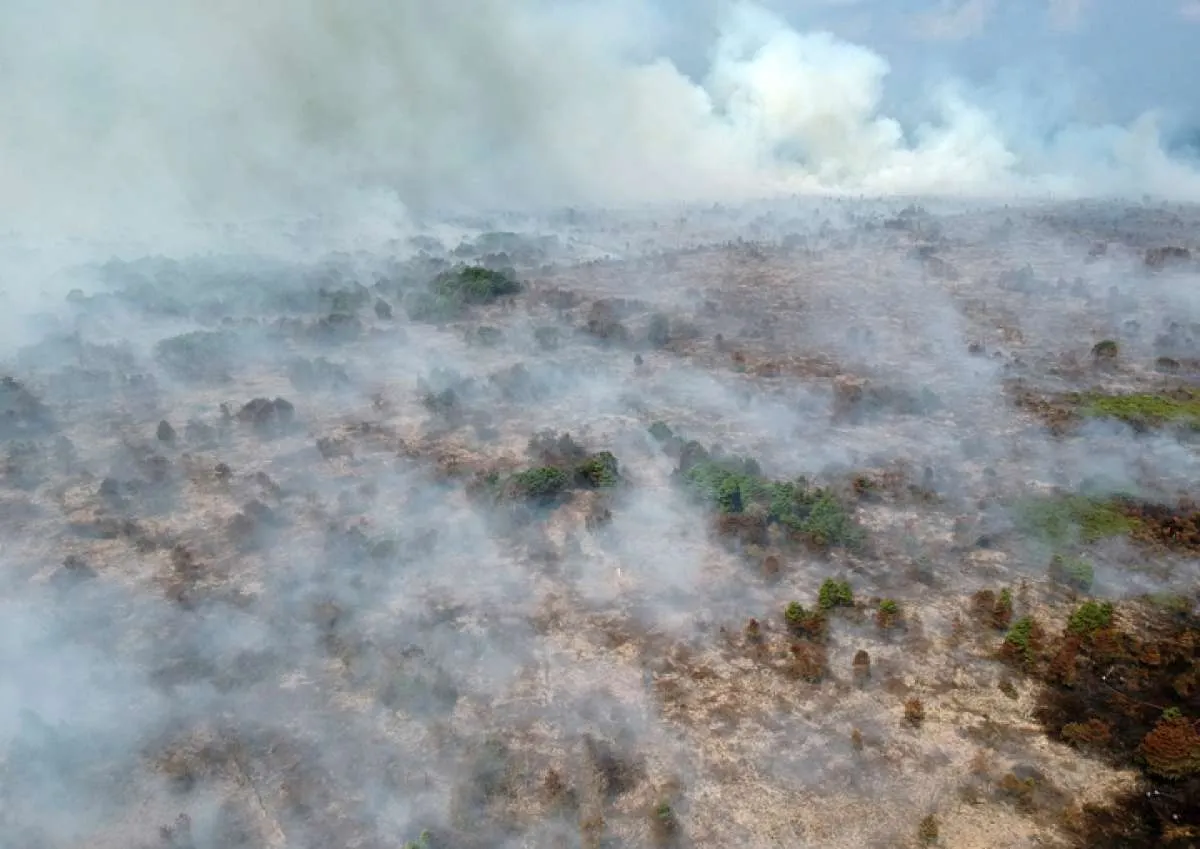 Presiden Jokowi telepon BNPB minta kebakaran hutan segera diselesaikan